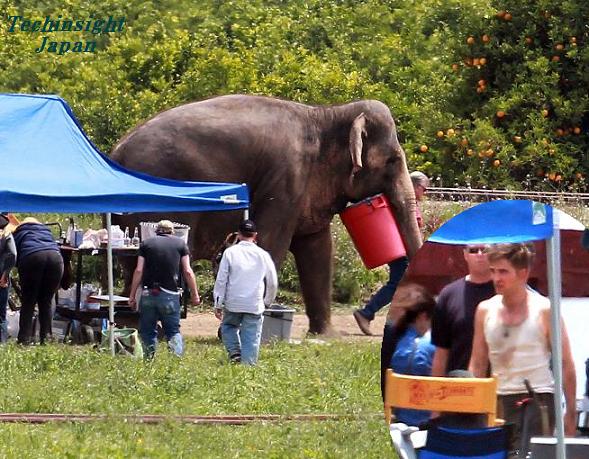 カリフォルニア州ヴェンチュラで2日、2011年公開予定の新作『Water for Elephants（原題）』の撮影が行われていた。今回の共演相手はあまりにもビッグ。主役を演じるロバート・パティンソン（円内）は汗ダクに。