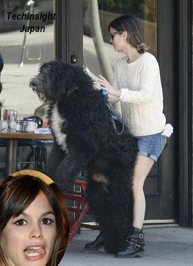 【イタすぎるセレブ達】若手女優レイチェル・ビルソンは、こんなにも犬を愛している。