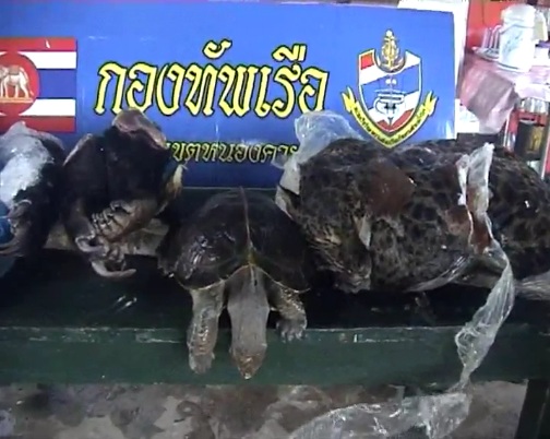 【アジア発！Breaking News】凍ったヒョウに熊の足・・・中国・ベトナムに密輸途中の動物が押収される。（タイ）