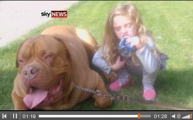 【EU発！Breaking News】飼い始めて間もない大型犬が4歳女児を噛み殺す。（英）