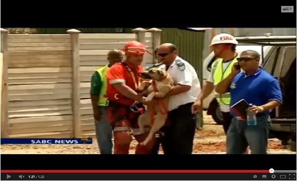 【アフリカ発！Breaking News】160m下の鉱山跡“ビッグホール”に落ちた犬、無事救助される。（南ア）