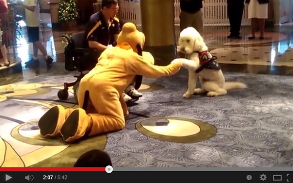 きぐるみの「プルート」と本物の犬に友情が。画像はYouTubeのスクリーンショット