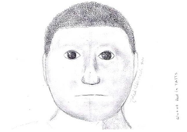 郡保安当局が発表した犯人の似顔絵に人々は苦笑。画像はmetro.co.ukのスクリーンショット