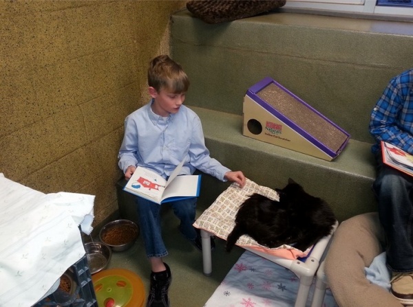 【米国発！Breaking News】動物保護施設で子供達が猫と一緒に読書をするプログラムが好評。（ペンシルベニア州）