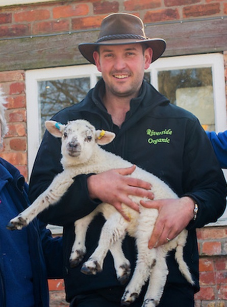 【EU発！Breaking News】6本脚の羊の繁殖を真剣に検討中!?　英の家畜生産組合。