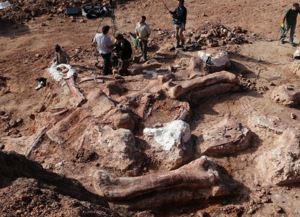 世界最大の恐竜の骨を発見。　画像はbbc.comのスクリーンショット