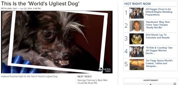 【米国発！Breaking News】「世界一醜い犬コンテスト」優勝のピーナッツ君には、悲しい過去が。（加州）