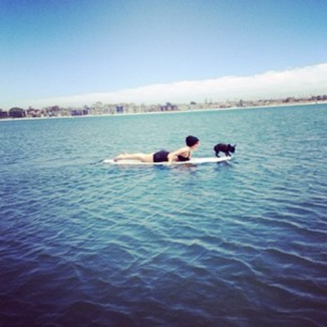 愛犬とサーフィンを楽しんだレディー・ガガ　（画像はinstagram.com/ladygagaより）