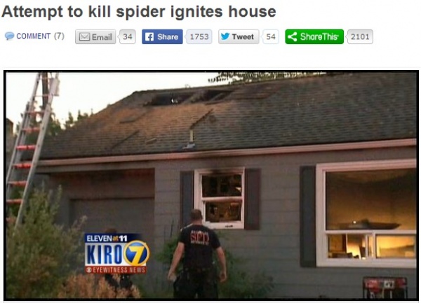 男性、蜘蛛を殺そうとして家を燃やす（画像はkirotv.comのスクリーンショット）
