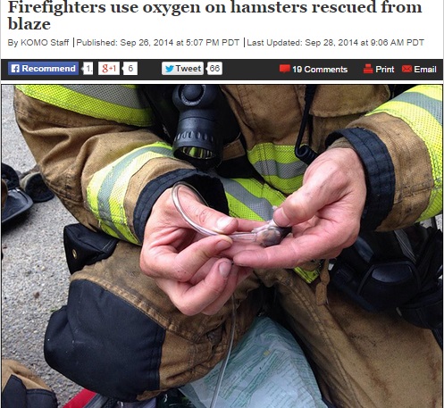 【海外発！Breaking News】ハムスターの赤ちゃんに酸素吸入。消火救出後に小さな命を救った消防士。（米）