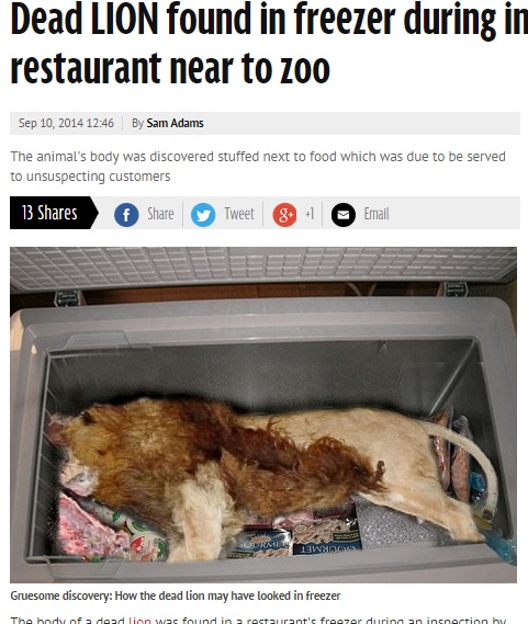 【海外発！Breaking News】ライオンがそのままの姿でレストランのフリーザーに。その目的とは…!?（英）