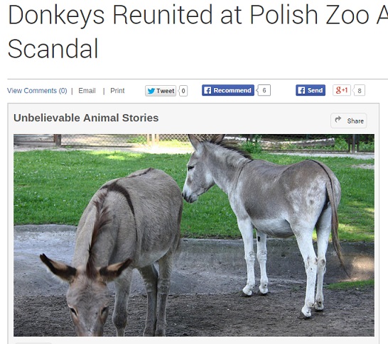 【海外発！Breaking News】「交尾が過激」。ロバのカップルを引き離した動物園に批判の嵐。（ポーランド）