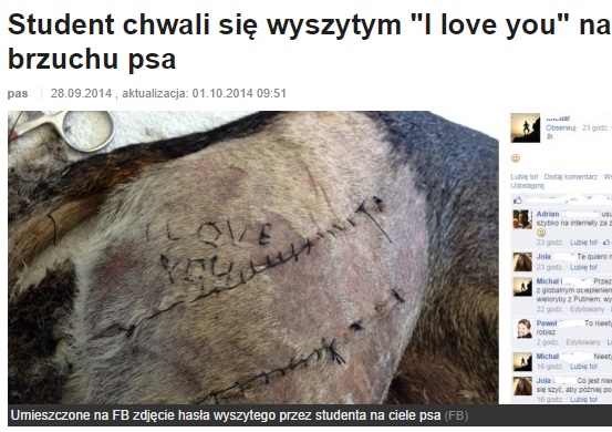 獣医の卵により文字をステッチされた犬（画像はolsztyn.gazeta.plのスクリーンショット）
