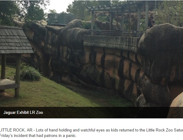 米・動物園で3歳児がジャガーの檻に転落（画像はfox16.comのスクリーンショット）