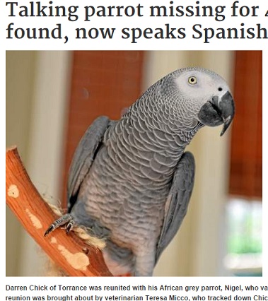 【海外発！Breaking News】4年前にクイーンズイングリッシュを喋っていたオウム、今はスペイン語がペラペラ！（米）