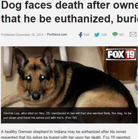 【海外発！Breaking News】「私が死んだら愛犬にも安楽死を」はアリかナシか。米女性の遺言が物議をかもす。