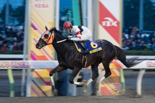 2014年東京大賞典にて優勝したホッコータルマエと幸英明騎手