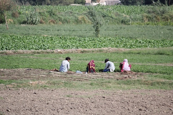 パキスタンの農村地帯では、今も黒魔術信仰が残る（画像はイメージです）
