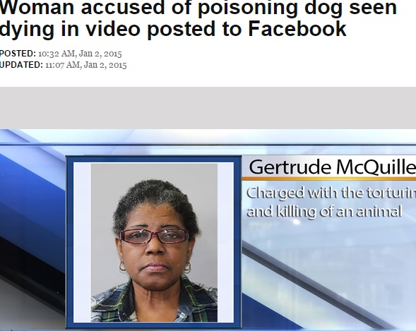 離婚の腹いせに飼い犬を毒殺した女（画像はwkbw.comのスクリーンショット）