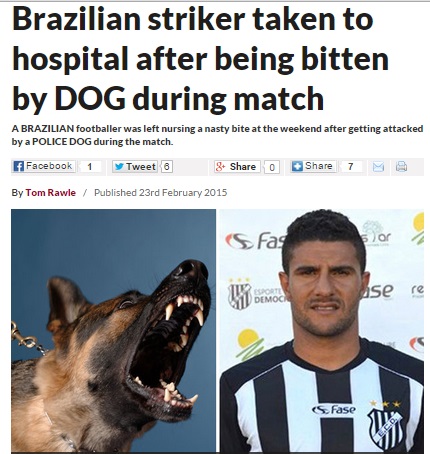 試合中のサッカー選手を警察犬がガブリ！（画像はdailystar.co.ukのスクリーンショット）