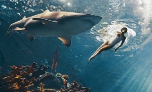 本当にサメと泳いだリアーナ（画像はinstagram.com/badgalririより）