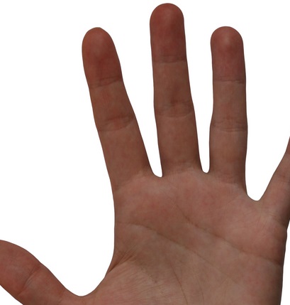 【海外発！Breaking News】“男性の薬指・人差し指の長さで性格が分かる”は根拠ナシ！　新たな研究調査で。（カナダ）