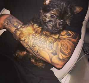 ジャスティンがファンに披露した小犬の写真（画像はinstagram.com/justinbieberより）