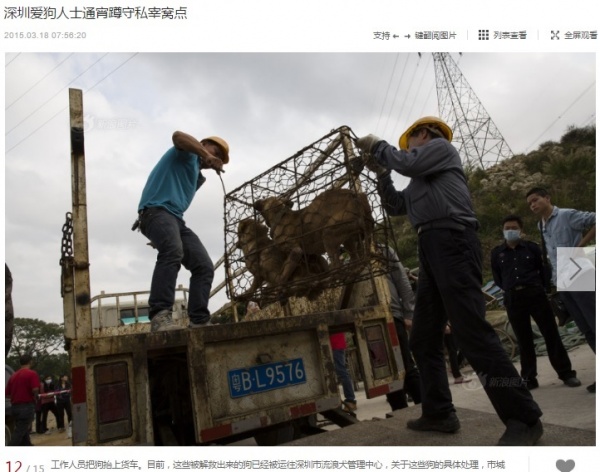 犬屠殺で検挙、深セン市の不法業者（画像はslide.news.sina.com.cnのスクリーンショット）