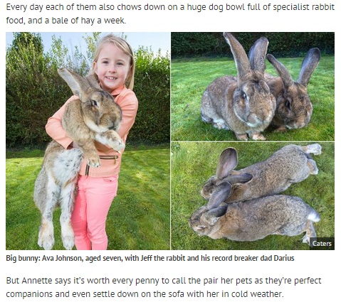 【海外発！Breaking News】高身長遺伝子？　体長132cmのウサギ、子もやはりジャンボサイズ。（英）