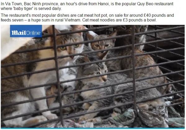 【海外発！Breaking News】ベトナムの「ベビータイガーの丸焼き」に要注意。猫を使用。
