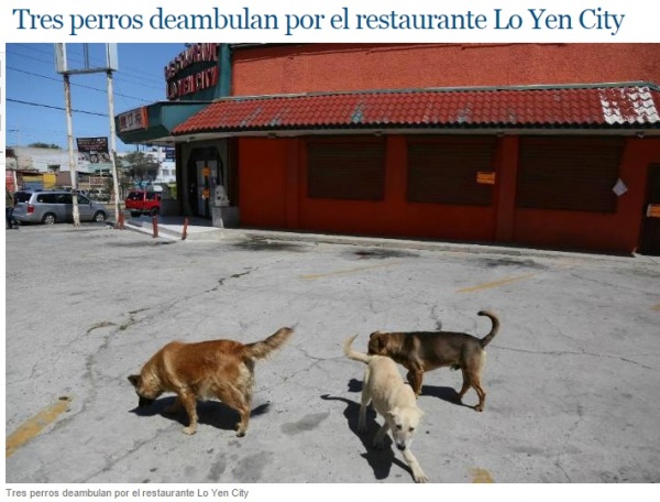 【海外発！Breaking News】観光地ティフアナの中華レストラン、犬肉の使用で次々と営業停止に。（メキシコ）