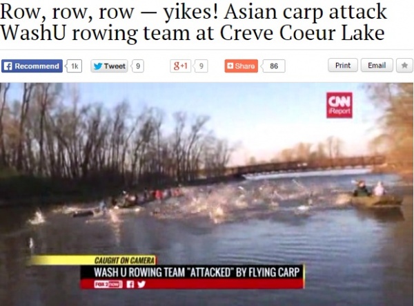 アジアン・カープの群れ、ボートを襲う（画像はstltoday.comのスクリーンショット）
