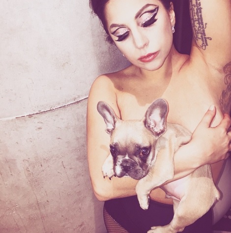 レディー・ガガ、愛犬とトップレスで。（画像はinstagram.com/ladygagaより）