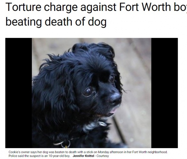 【海外発！Breaking News】激しい暴力でよその飼い犬を殺した小学生。重い刑の可能性も。（米）