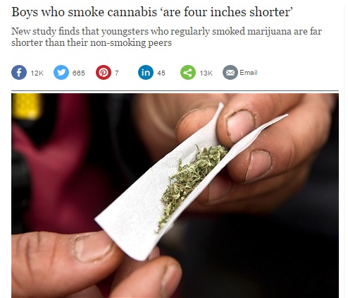 【海外発！Breaking News】進む合法化で思春期の少年にも蔓延する大麻。身長の伸びが止まることが判明。