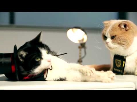 【ネコ刑事vsネコ怪盗】エピローグ（画像はYouTubeのサムネイル）
