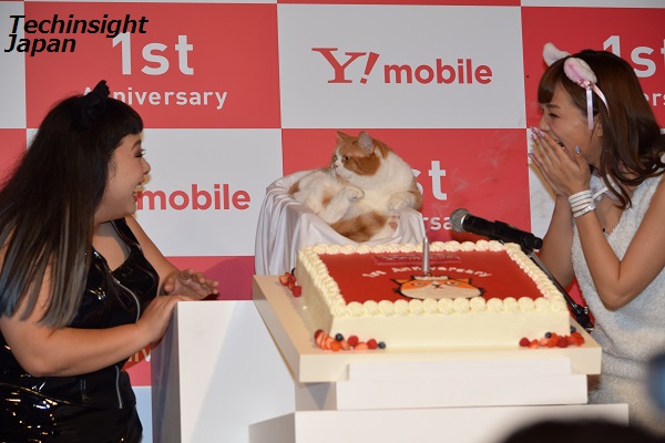ワイモバイル1周年記念のケーキのろうそくを消す、渡辺直美、ふてニャン、篠崎愛