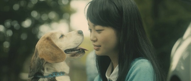 人と犬の絆を感じる動画『Smile Again』が公開
