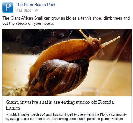 米フロリダ州で巨大カタツムリが出現（画像はfacebook.com/palmbeachpostのスクリーンショット）