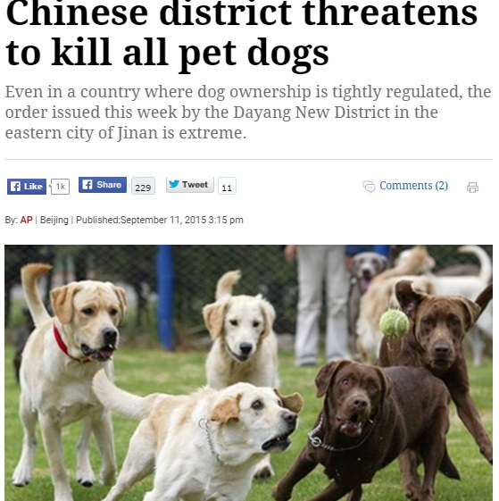 【海外発！Breaking News】飼い犬全面禁止。「見つけたら始末する」と中国・済南市の町。