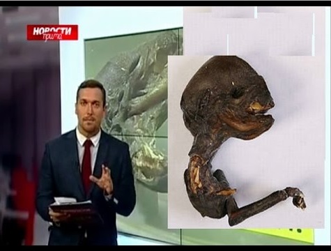ロシアで奇妙なエイリアンの死骸が見つかる（画像はYouTubeのサムネイル）