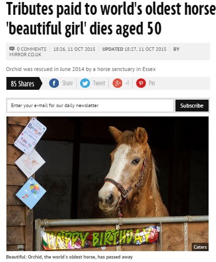 世界一の長寿馬“ビューティフルガール”が死亡（画像はmirror.co.ukのスクリーンショット）
