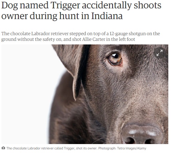 犬が銃を暴発させ飼い主が被弾（画像はtheguardian.comのスクリーンショット）