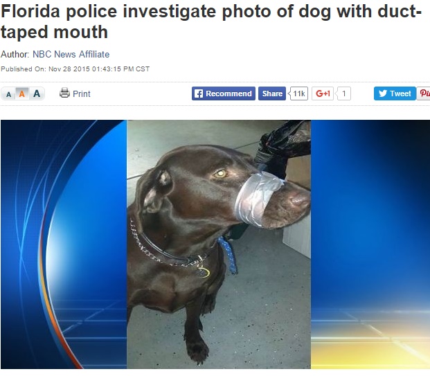 【海外発！Breaking News】ダクトテープで口をふさがれた犬。SNS投稿写真に3万超もの911番通報（米）