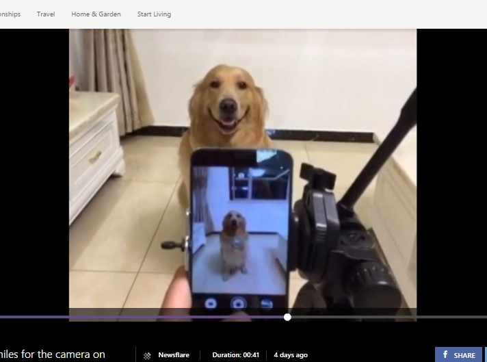 【海外発！Breaking News】「はい、チーズ」でニコッ！　カメラに微笑む賢い犬＜動画あり＞