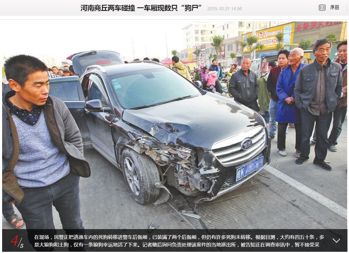 大量の犬の死骸が詰め込まれていた事故車（画像はnews.163.comのスクリーンショット）