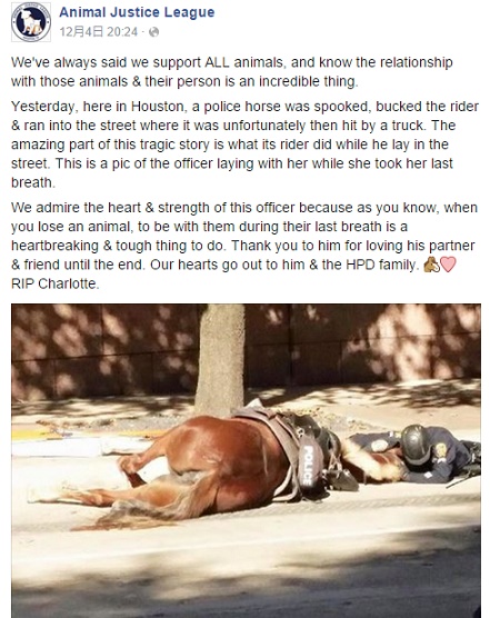 facebook.com/AnimalJusticeLeagueHoustonのスクリーンショット。ヒューストン市警の騎馬隊で優秀な1頭が死亡、隊員の悲しみは深く