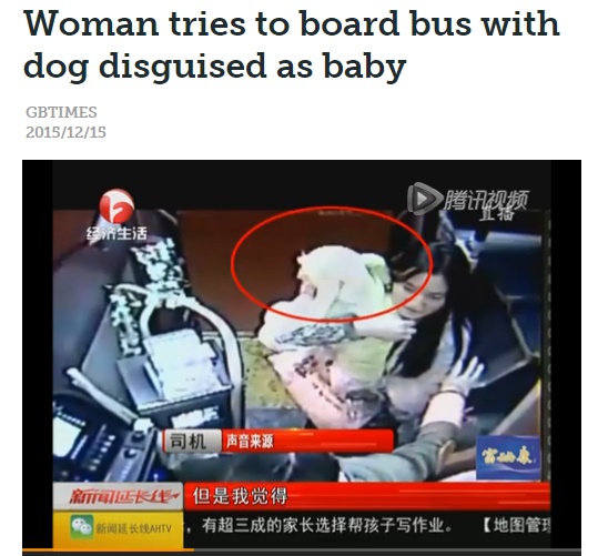 愛犬にベビー服を着せてバスに乗った中国の女（画像はgbtimes.comのスクリーンショット）