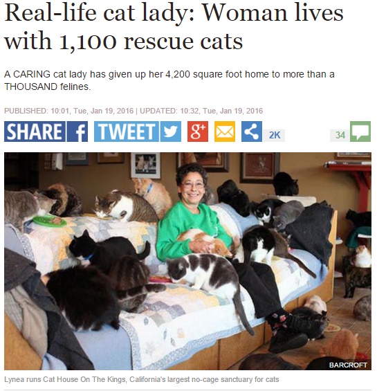 1,100匹の猫と暮らすカリフォルニア州の女性（出典：http://www.express.co.uk）