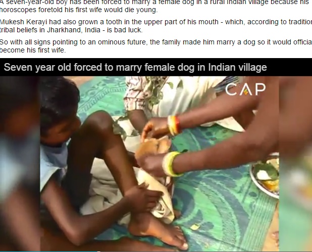 【海外発！Breaking News】インドの7歳男児、メス犬と結婚　「占い」信じる親のせいで